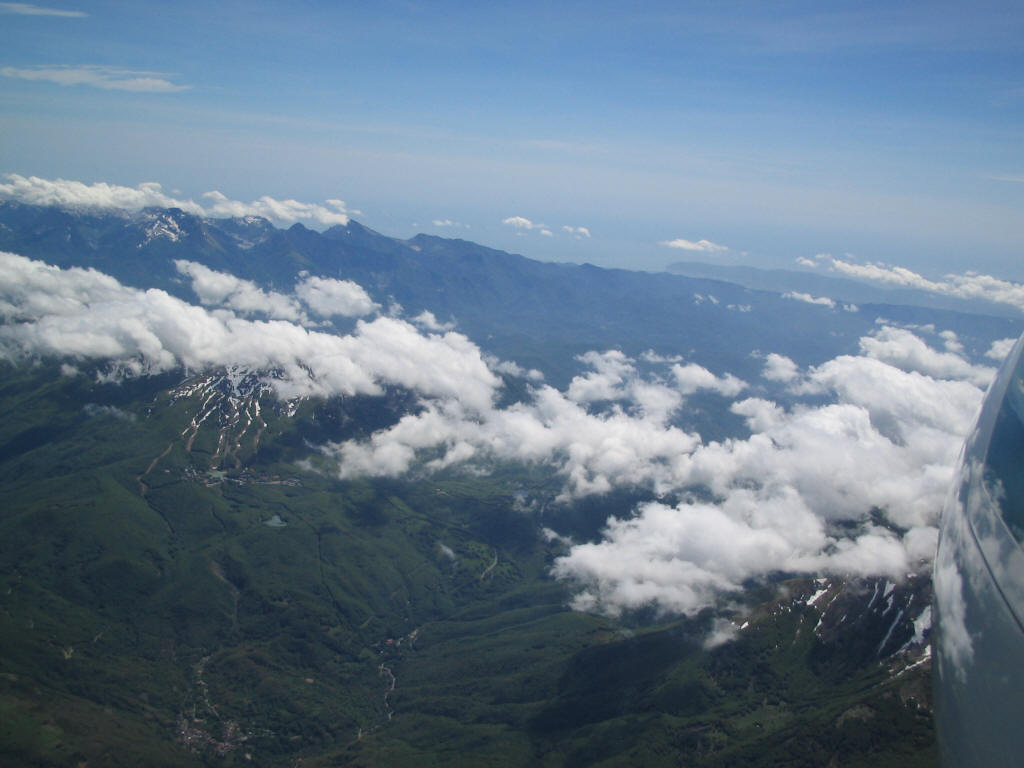 2006 (17)